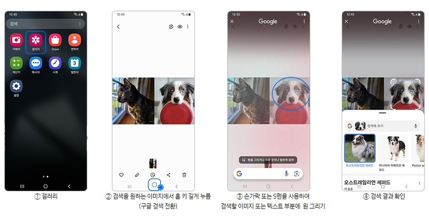 //img.biz.sbs.co.kr/upload/2024/09/29/WZ61727571702647-850.jpg 이미지