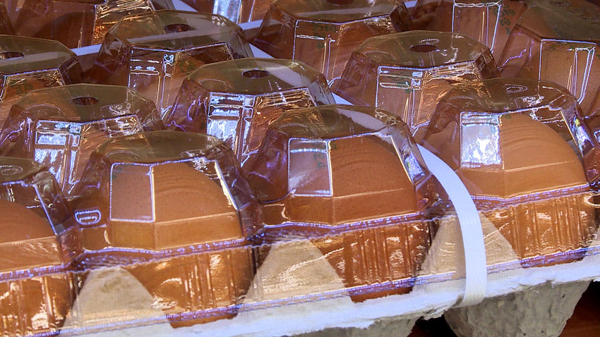 계란값 비싼 이유, 닭들이 아니라 사람 때문이었네