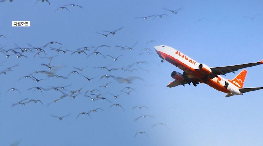 환경부 장관  '무안공항, '철새 도래지' 지적 반영 여부 점검 중 