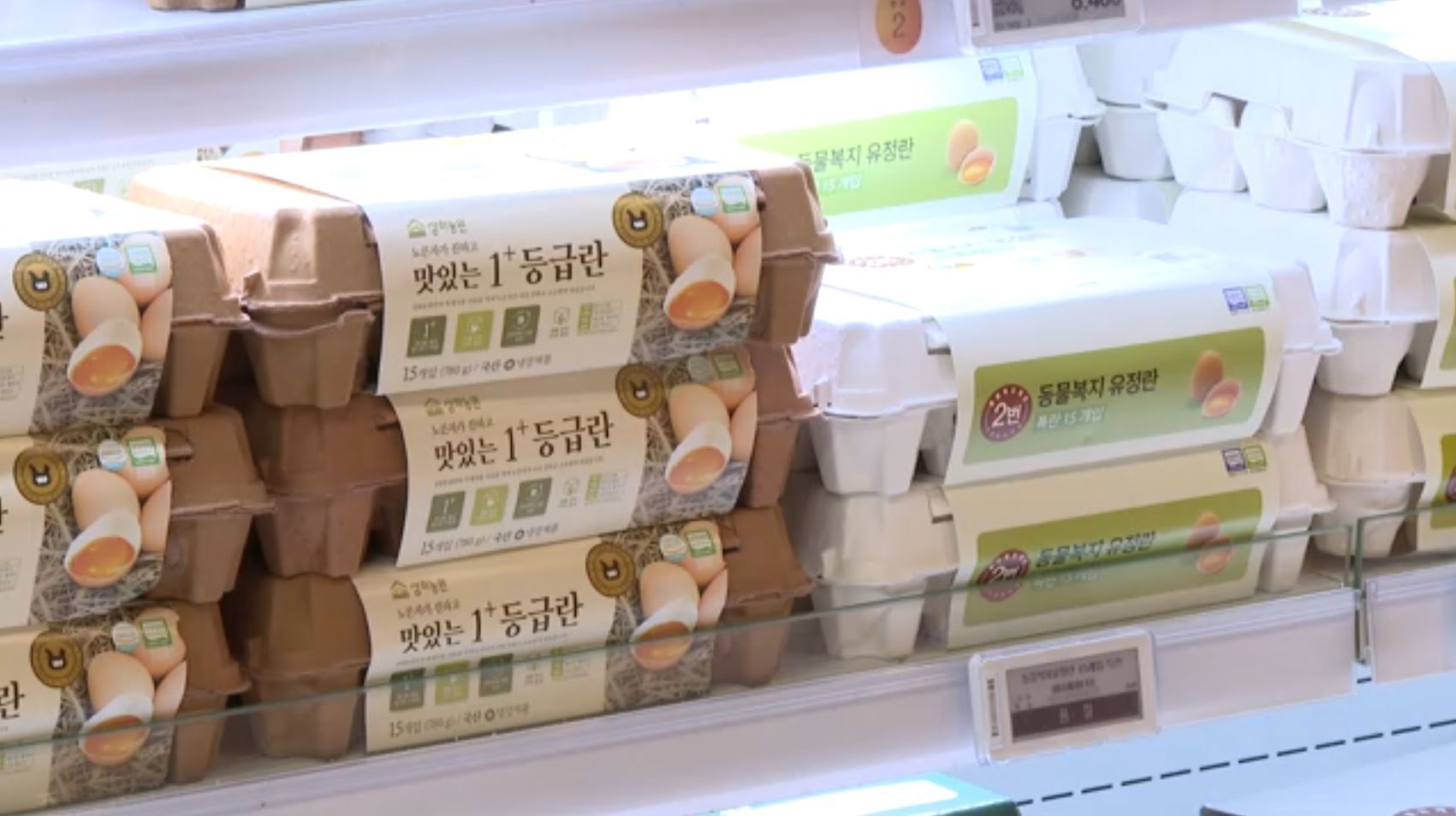 찍힐라…대형마트 알아서 달걀값 동결? 참외는 글쎄?