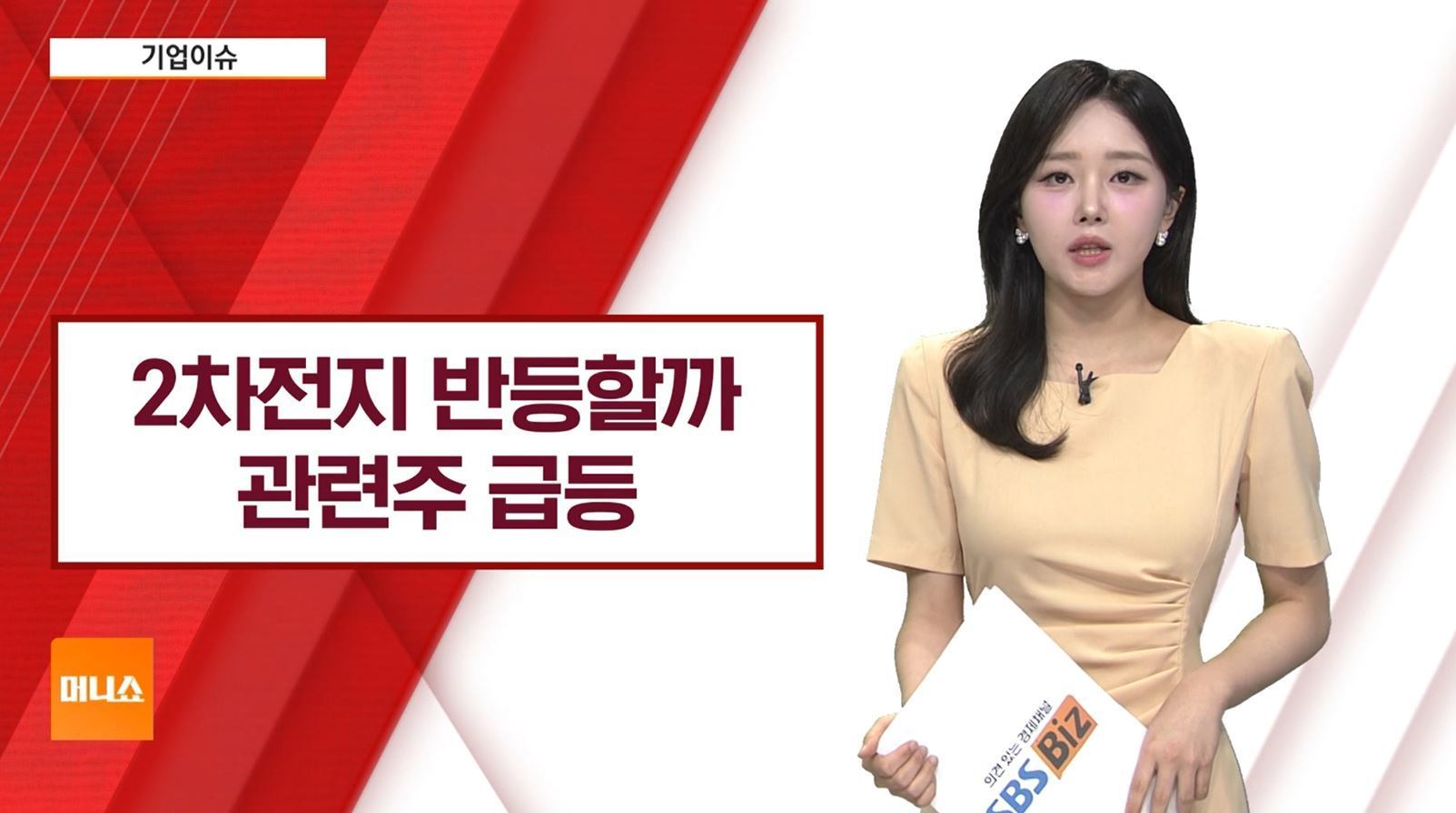 [기업이슈] 테슬라 로보택시 출시…침체된 2차전지 반전 가능성은?