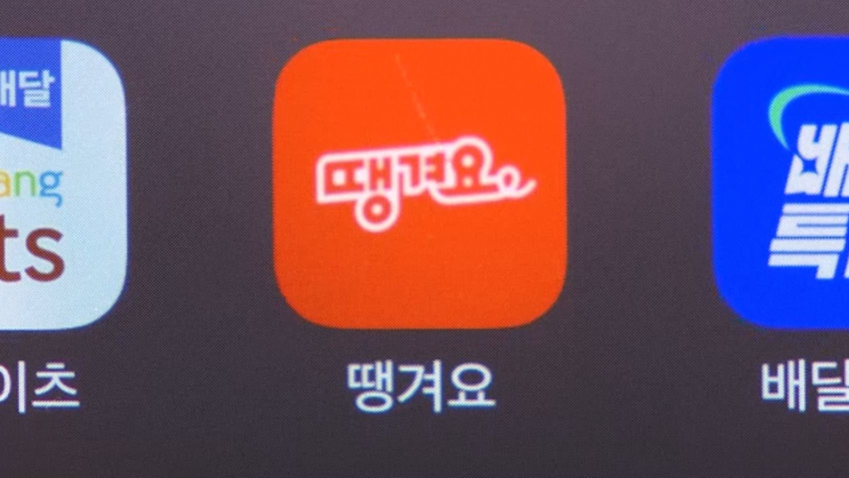 '고래 싸움' 배달앱 시장서 '땡겨요' 맨몸 승부