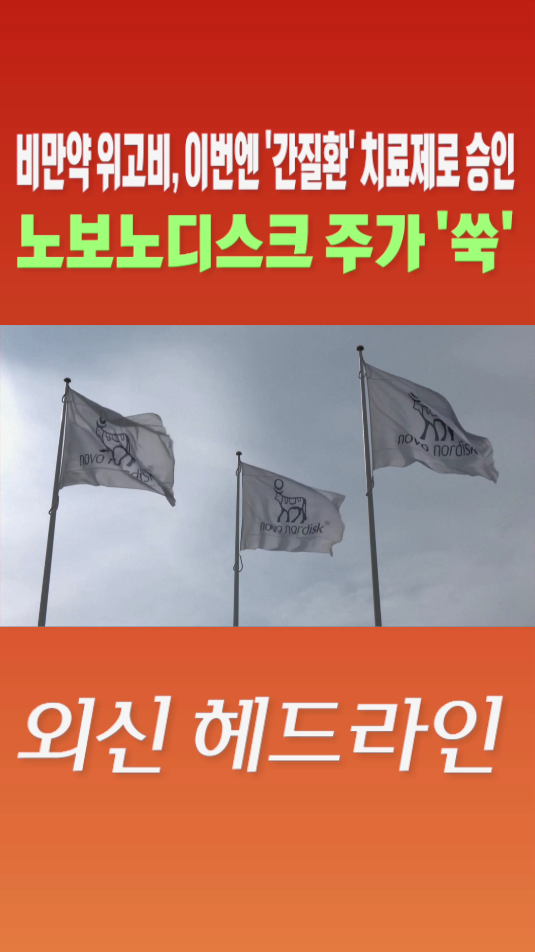 [숏폼] 비만약 위고비</font>, 이번엔 '간질환' 치료제로 승인 노보노디스크 주가 '쑥'