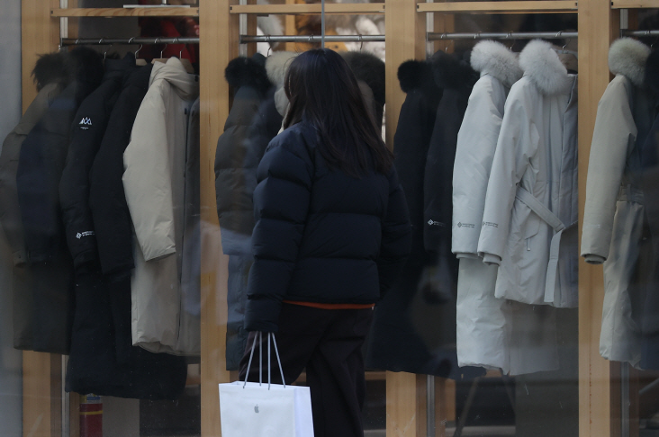 '가짜 구스다운·덕다운' 들통나면 '퇴출'