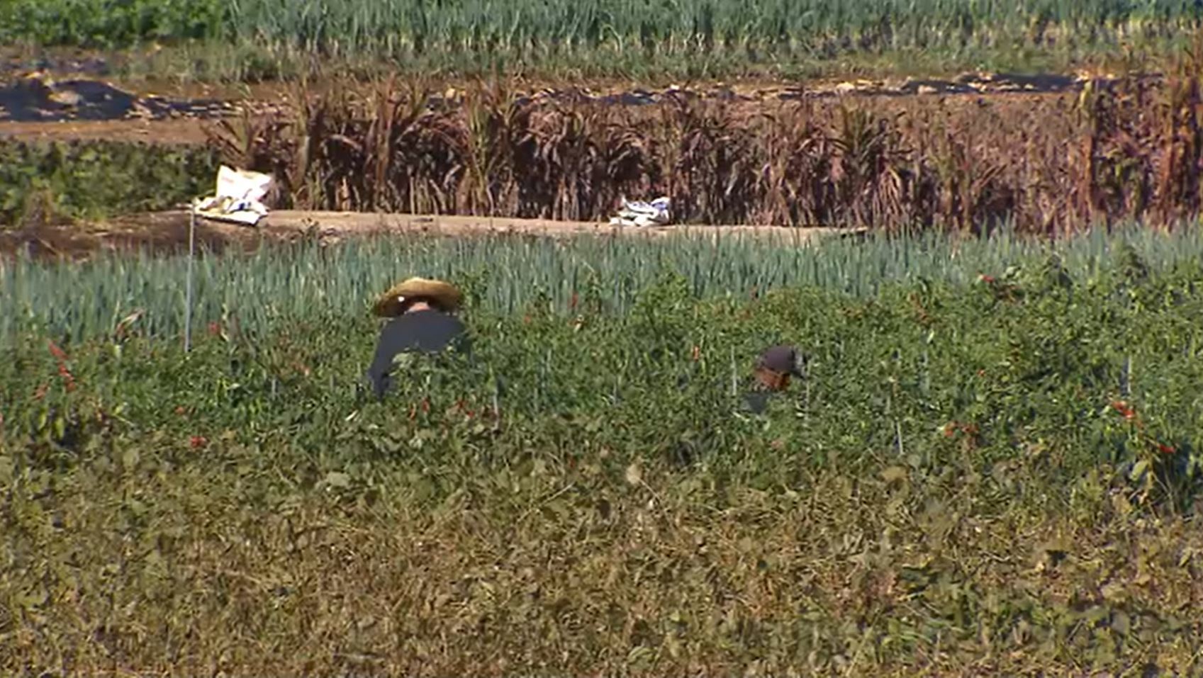 [단독] 20년째 낙제점인데…농가목돈기금, '성과 착시'로 또 살아남아