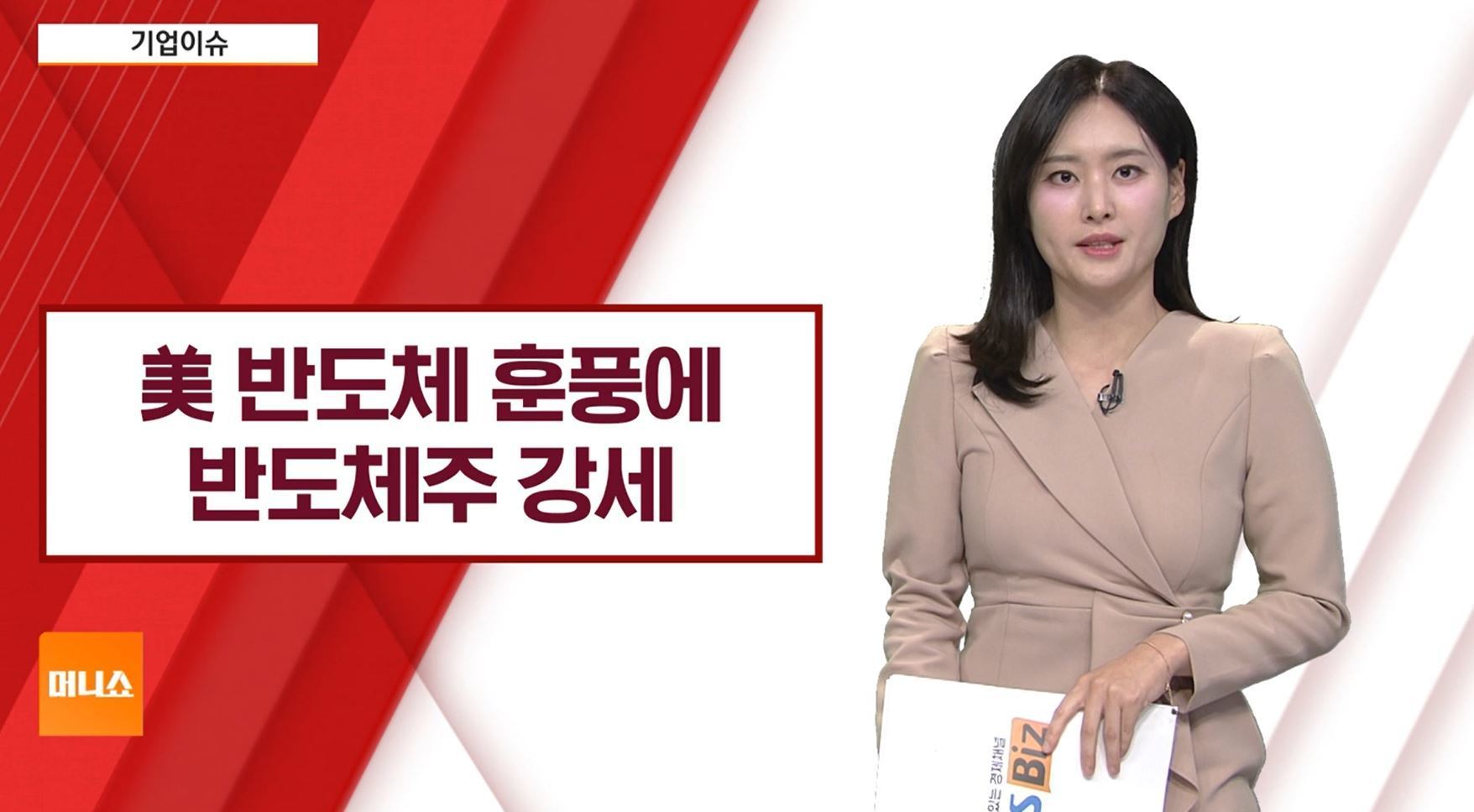 기업이슈] AI 거품론 뚫고 美반도체 훈풍…하이닉스·삼전 반등 - SBS Biz