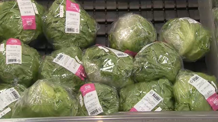 '양상추 대란'에 샌드위치·햄버거 가게 '비상'