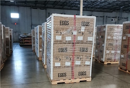 aT, 미국산 계란 224만개 수입…첫 물량 오늘 도착