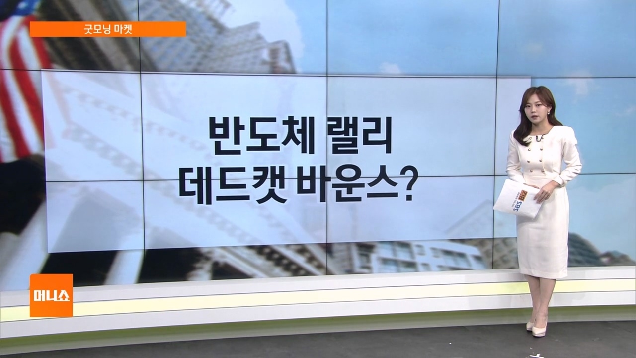 [굿모닝 마켓] 뉴욕증시, 반도체주 반등 속 혼조…나스닥 1.11%↑